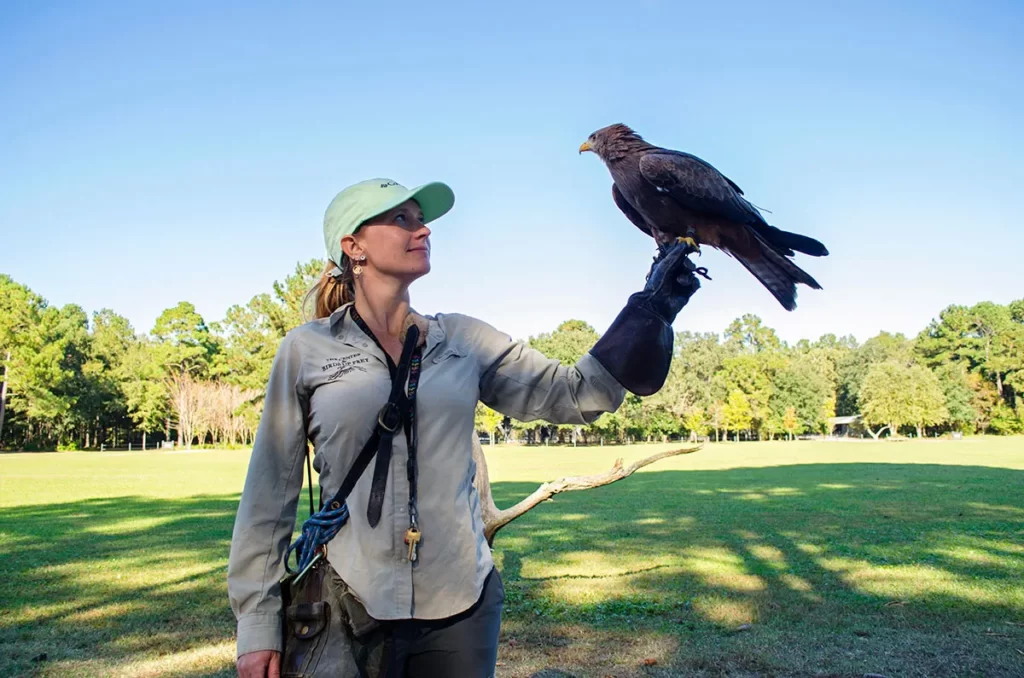 Center for Birds of Prey