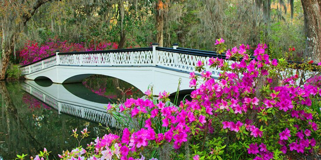 Magnolia Plantation & Gardens