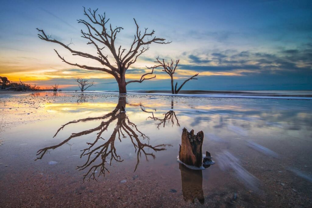 Botany Bay